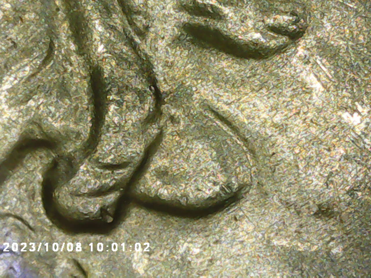 2022-P-Quarter-